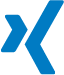 Xing Icon